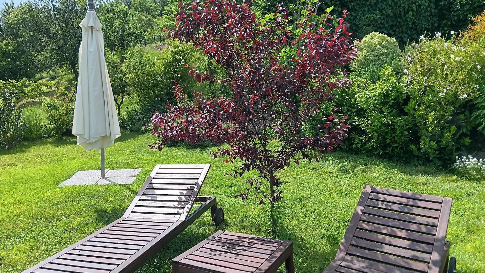 Monti Guesthouse Monti di Licciana Nardi Bed & Breakfast