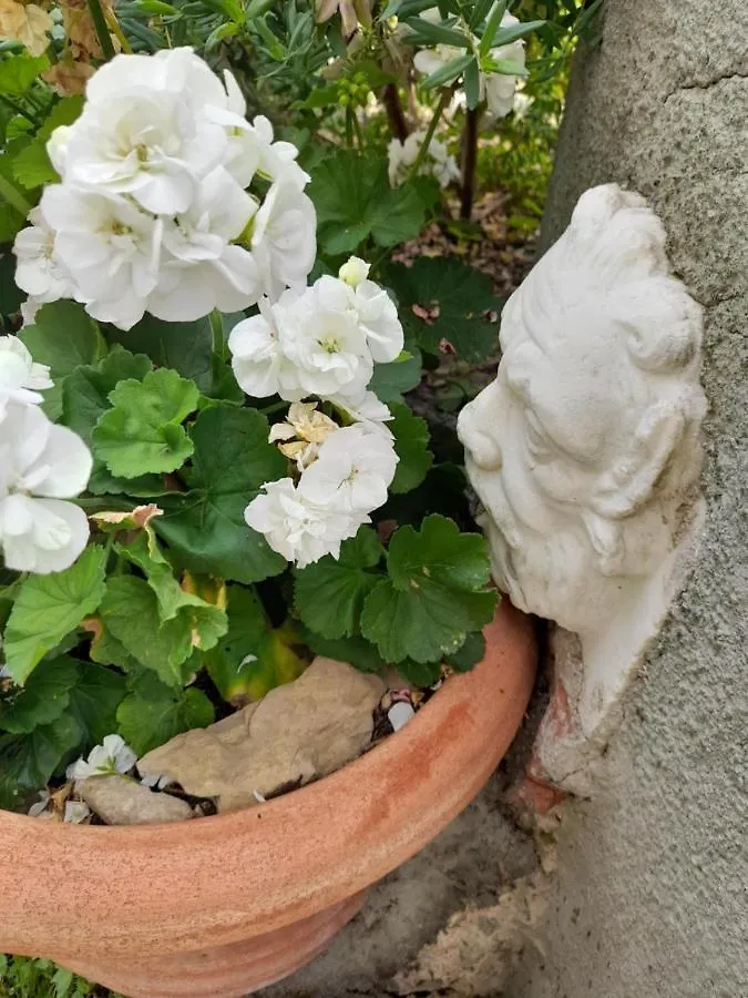 Bed & Breakfast Monti Guesthouse Monti di Licciana Nardi